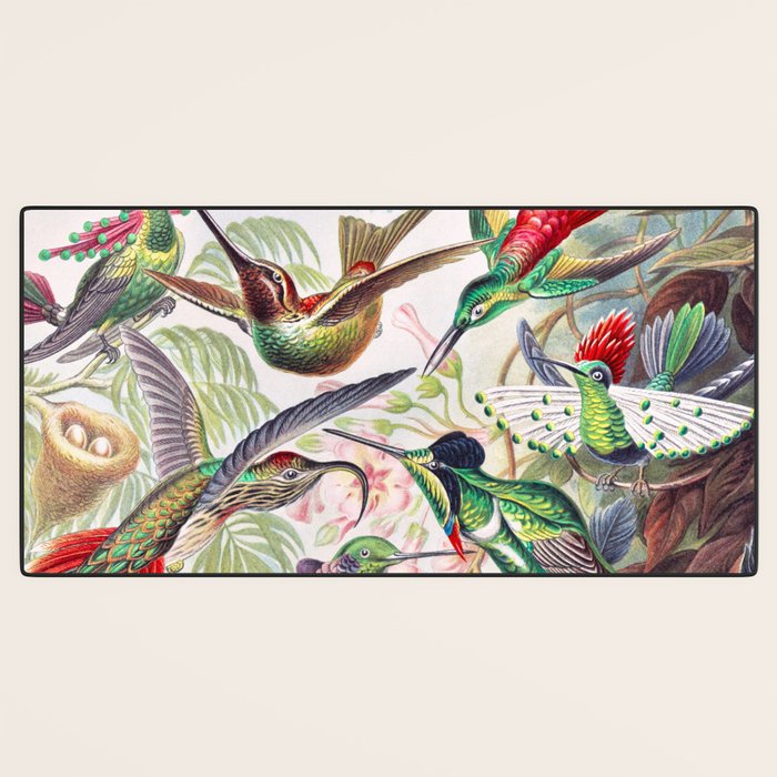 Beautiful colorful Hummingbirds from Art Forms of Nature (1904) landscape painting by Ernst Haeckel Desk Mat Gallery Image 3