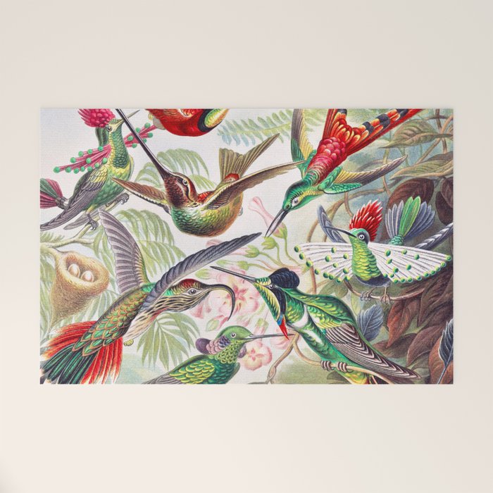 Beautiful colorful Hummingbirds from Art Forms of Nature (1904) landscape painting by Ernst Haeckel Welcome Mat Gallery Image 1
