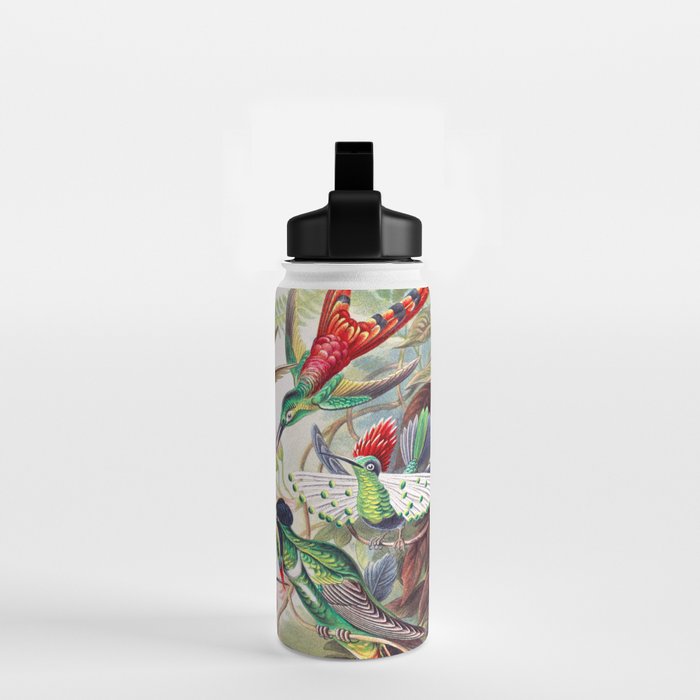 Beautiful colorful Hummingbirds from Art Forms of Nature (1904) landscape painting by Ernst Haeckel Water Bottle Gallery Image 2