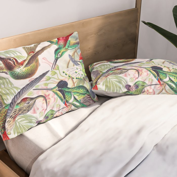 Beautiful colorful Hummingbirds from Art Forms of Nature (1904) landscape painting by Ernst Haeckel Pillow Sham Gallery Image 2