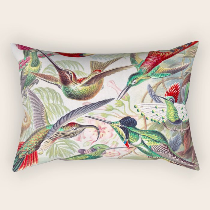 Beautiful colorful Hummingbirds from Art Forms of Nature (1904) landscape painting by Ernst Haeckel Rectangular Pillow Gallery Image 2