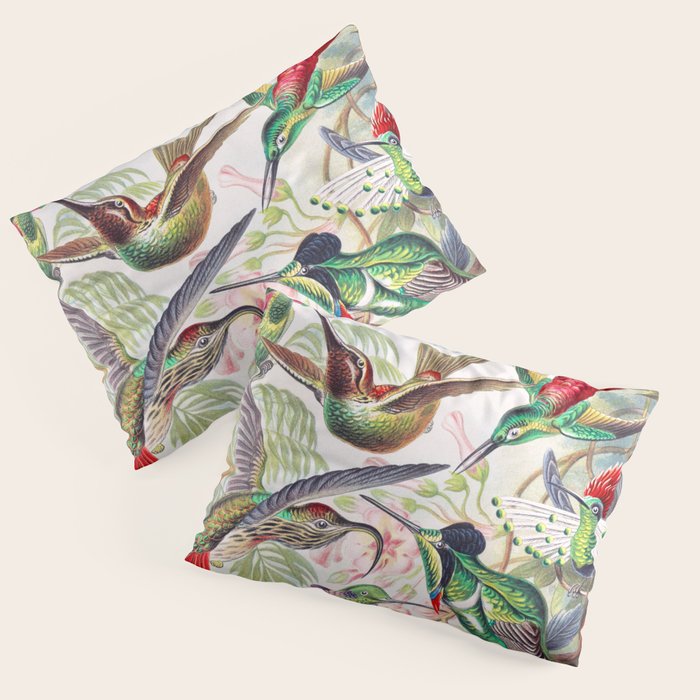 Beautiful colorful Hummingbirds from Art Forms of Nature (1904) landscape painting by Ernst Haeckel Pillow Sham Gallery Image 3