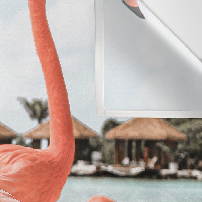 Pink Flamingos On Aruba Island Art Photo | Caribbean Beach Wall Print | Tropical Travel Photography Wall Tapestry Gallery Image 3