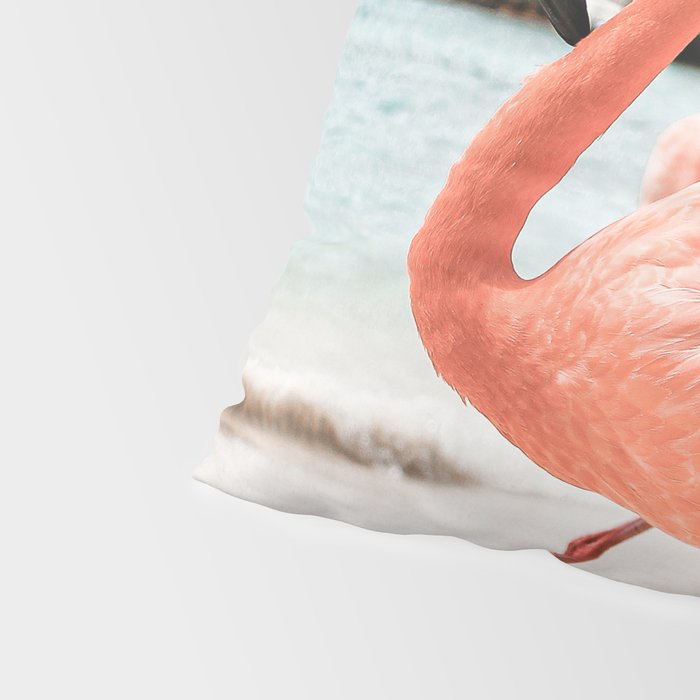 Pink Flamingos On Aruba Island Art Photo | Caribbean Beach Wall Print | Tropical Travel Photography Pillow Sham Gallery Image 4