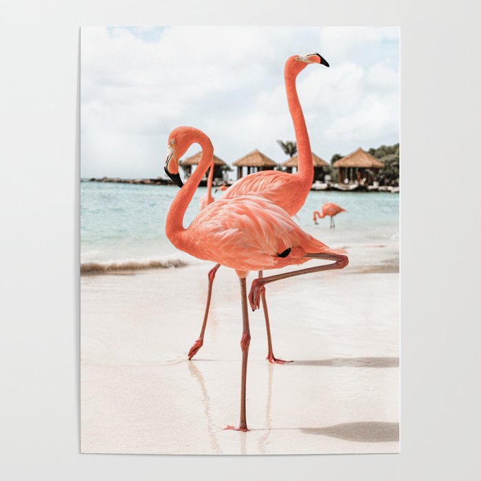 Pink Flamingos On Aruba Island Art Photo | Caribbean Beach Wall Print | Tropical Travel Photography Poster Gallery Image 4