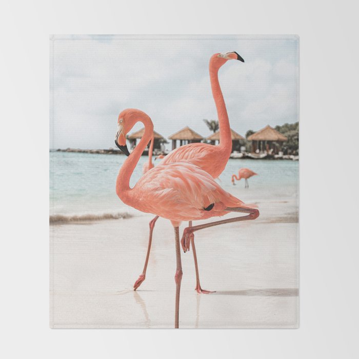 Pink Flamingos On Aruba Island Art Photo | Caribbean Beach Wall Print | Tropical Travel Photography Throw Blanket Gallery Image 2
