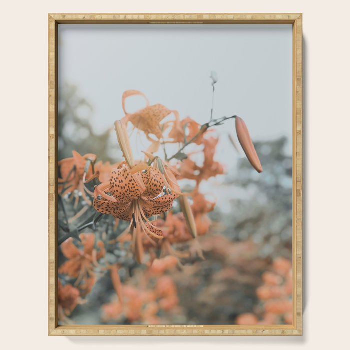 Lily - Orange terra cotta modern botanical floral Serving Tray Gallery Image 1