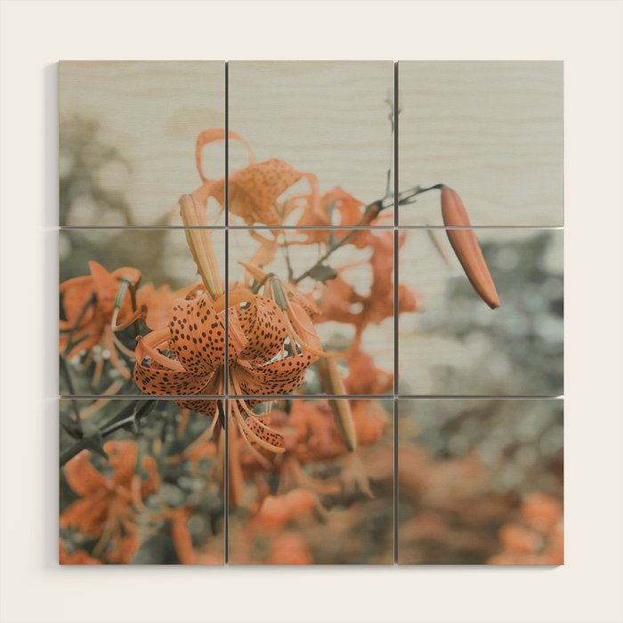 Lily - Orange terra cotta modern botanical floral Wood Wall Art Gallery Image 1