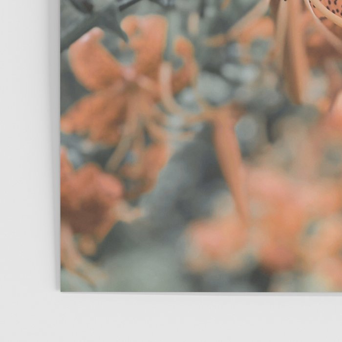 Lily - Orange terra cotta modern botanical floral Poster Gallery Image 3