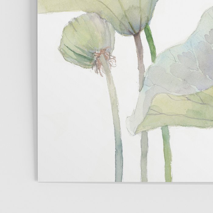 Lotus Flower and Leaves Pink Goldfish Watercolor  Poster Gallery Image 3