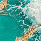 Big Cat Tiger Surfing At Beach Coffee Mug Gallery Image 2