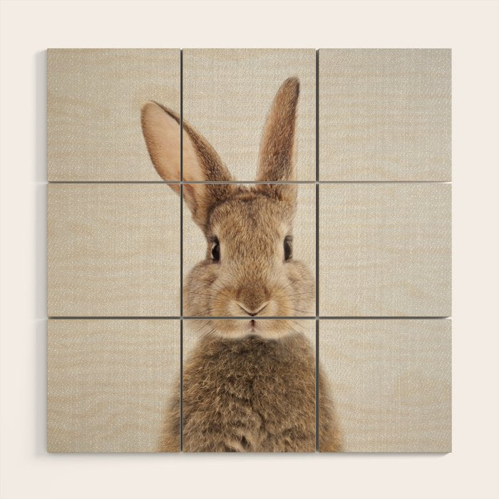 Rabbit - Colorful Wood Wall Art Gallery Image 1