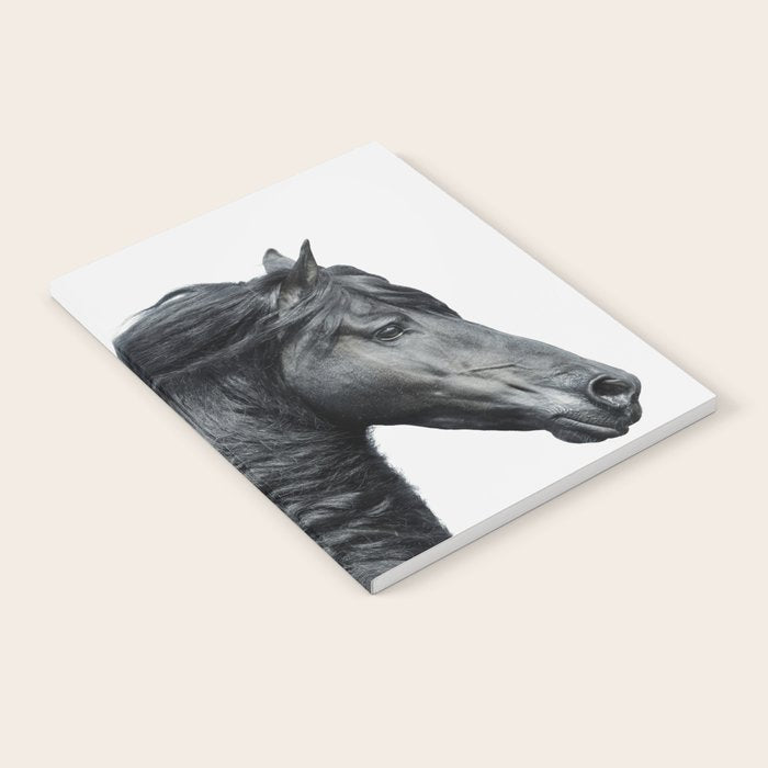 Black Beauty - Minimalist Black and White Photography Notebook Gallery Image 2