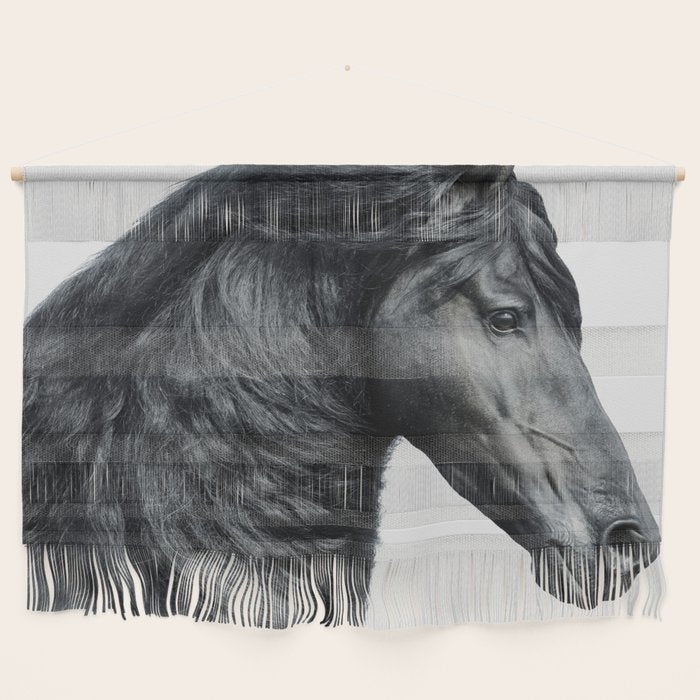 Black Beauty - Minimalist Black and White Photography Wall Hanging Gallery Image 1