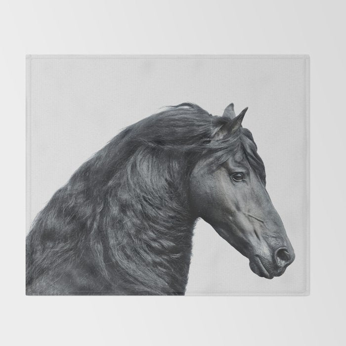 Black Beauty - Minimalist Black and White Photography Throw Blanket Gallery Image 2