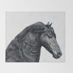 Black Beauty - Minimalist Black and White Photography Throw Blanket Gallery Image 2