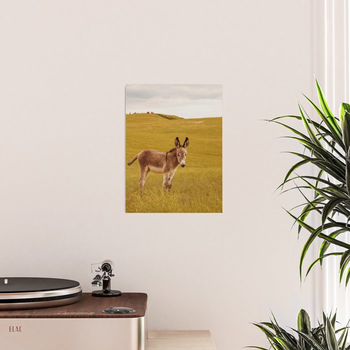 Hee Haw Poster Gallery Image 2