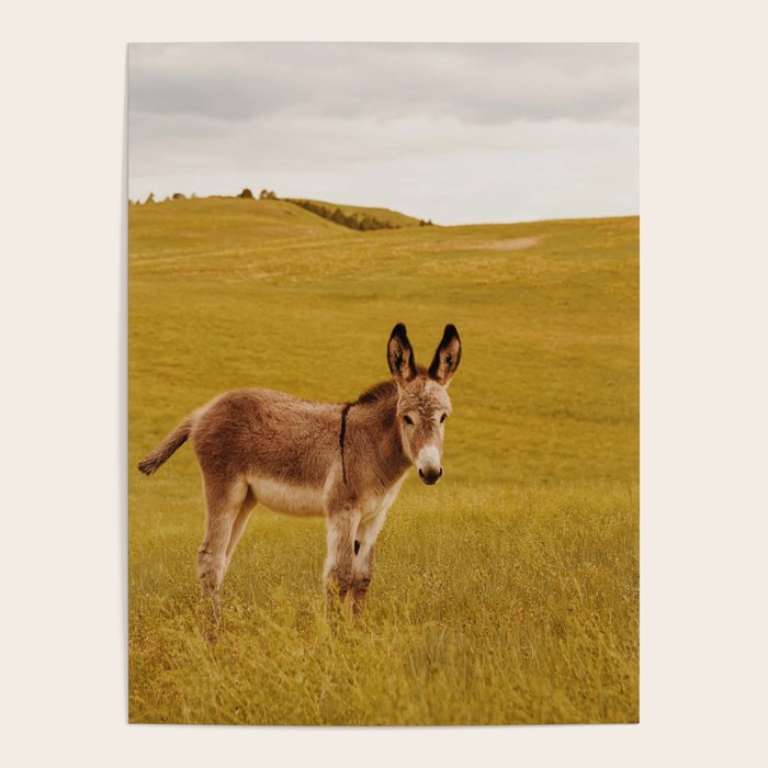 Hee Haw Poster Gallery Image 4