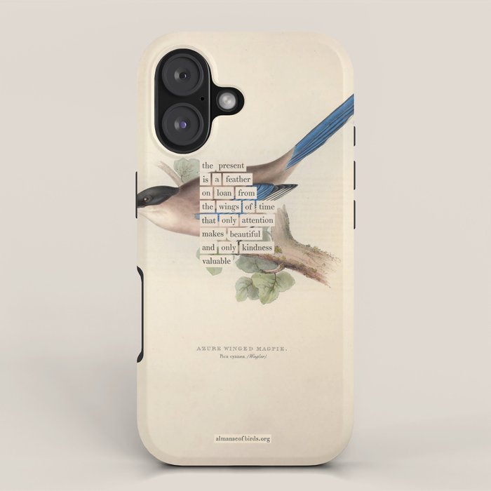 Bird Divinations: Azure Magpie (about: almanacofbirds.org) iPhone Case Gallery Image 1
