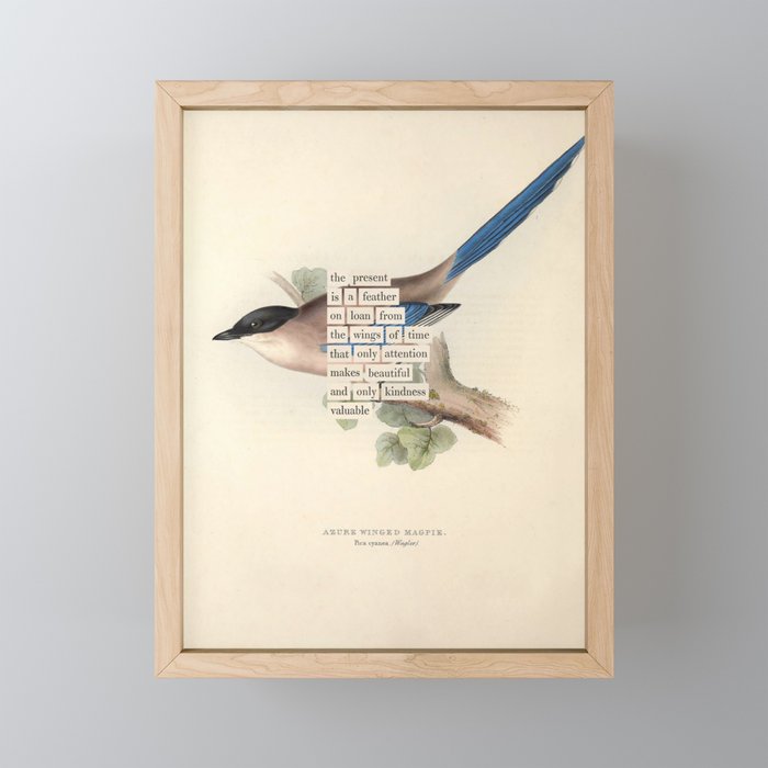 Bird Divinations: Azure Magpie (about: almanacofbirds.org) Mini Art Print Gallery Image 1