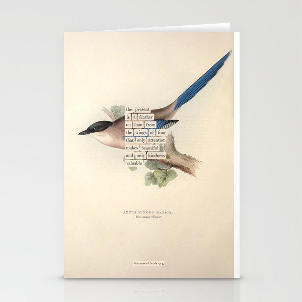 Bird Divinations: Azure Magpie (about: almanacofbirds.org) Stationery Card Gallery Image 2