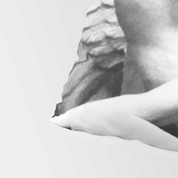 Angel Pillow Sham Gallery Image 4