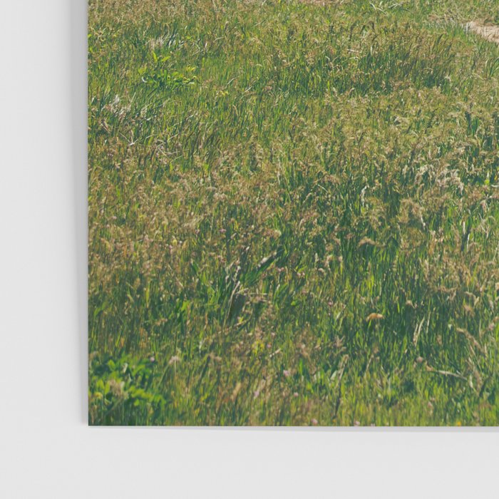 Spring Gorge Poster Gallery Image 3