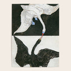 Hilma af Klint The Swan Poster Gallery Image 4