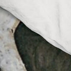 Hilma af Klint The Swan Comforter Gallery Image 4