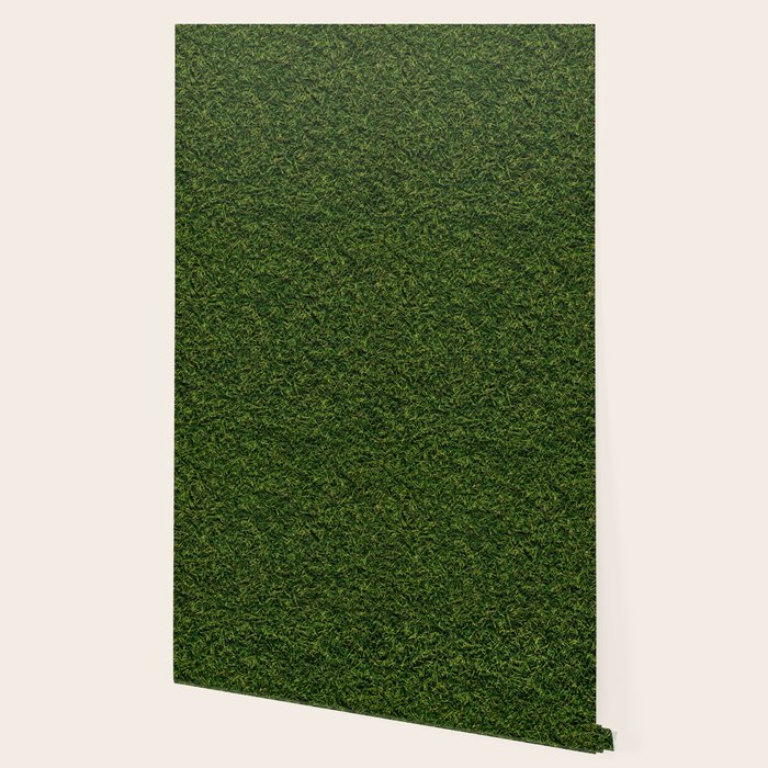 Grass Wallpaper Gallery Image 2