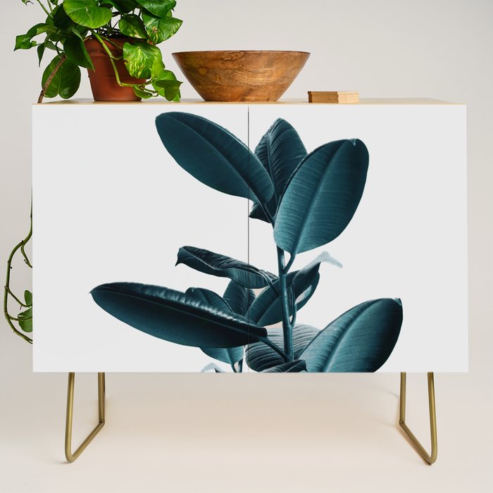 Ficus Credenza Gallery Image 1