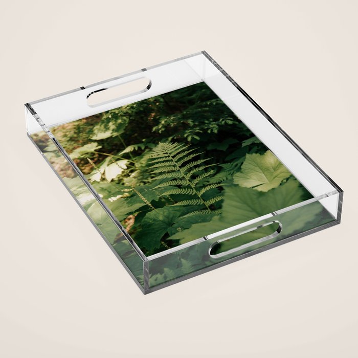 Forest Details Acrylic Tray Gallery Image 1