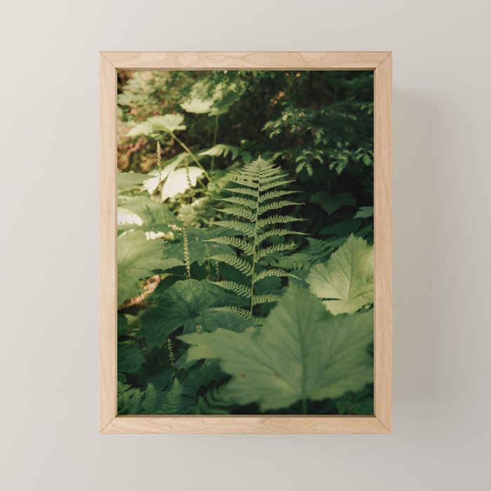Forest Details Mini Art Print Gallery Image 1
