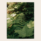 Forest Details Poster Gallery Image 4