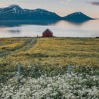 Nordic Summer - Landscape and Nature Photography Coffee Mug Gallery Image 2