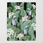 Tropical flight Poster Gallery Image 4