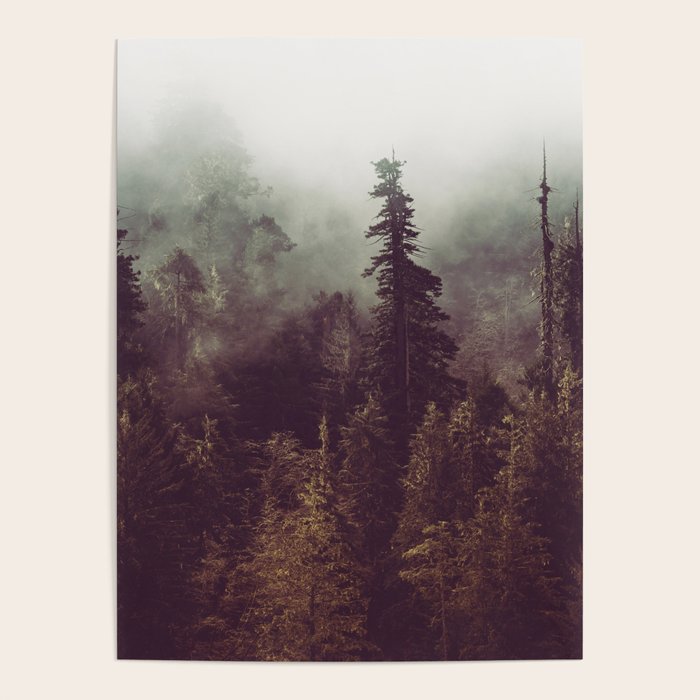 Weekend Escape - Forest Nature Photography Poster Gallery Image 4