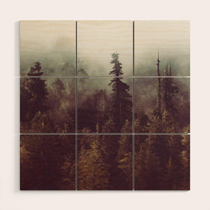 Weekend Escape - Forest Nature Photography Wood Wall Art Gallery Image 1