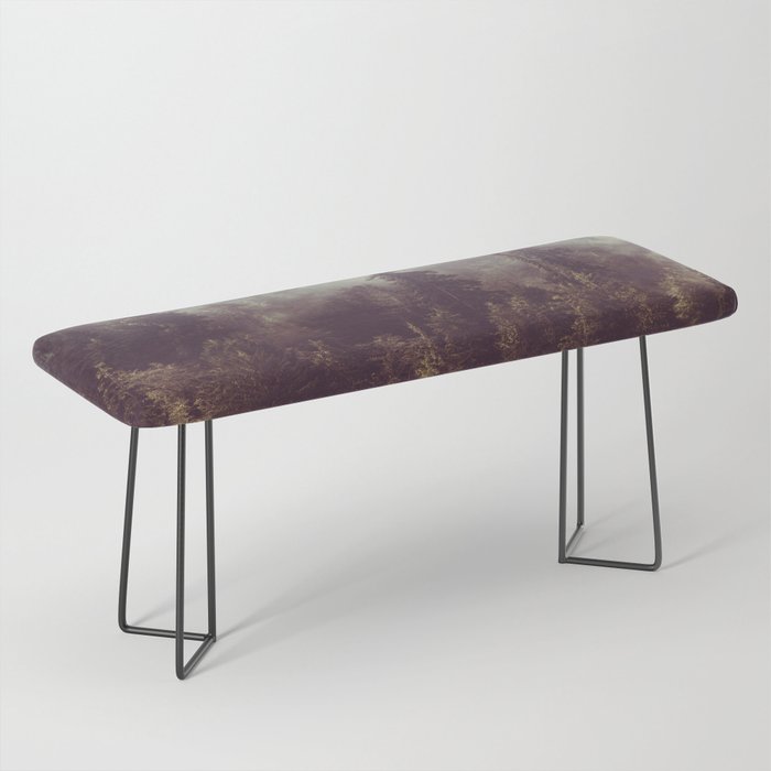 Weekend Escape - Forest Nature Photography Bench Gallery Image 1