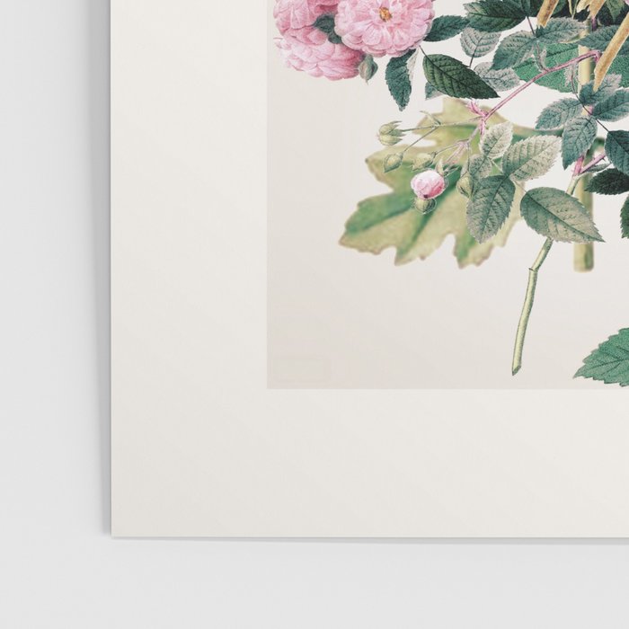 Garden Flowers 11 Poster Gallery Image 3