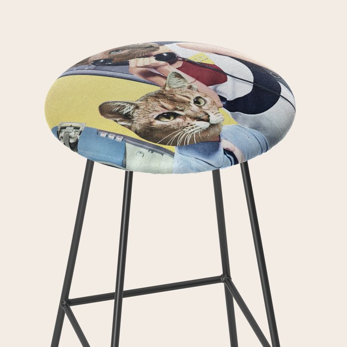 Cat Espionage Stool Gallery Image 2