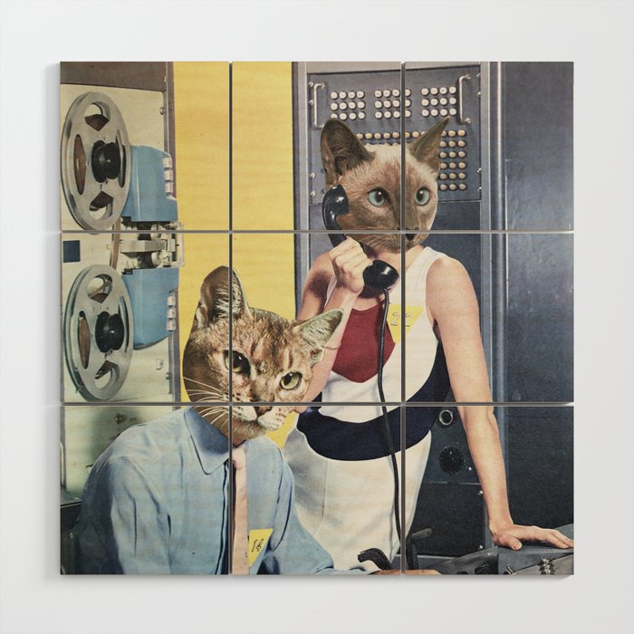 Cat Espionage Wood Wall Art Gallery Image 1