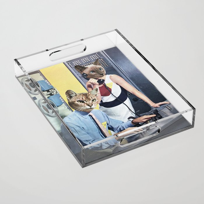 Cat Espionage Acrylic Tray Gallery Image 1