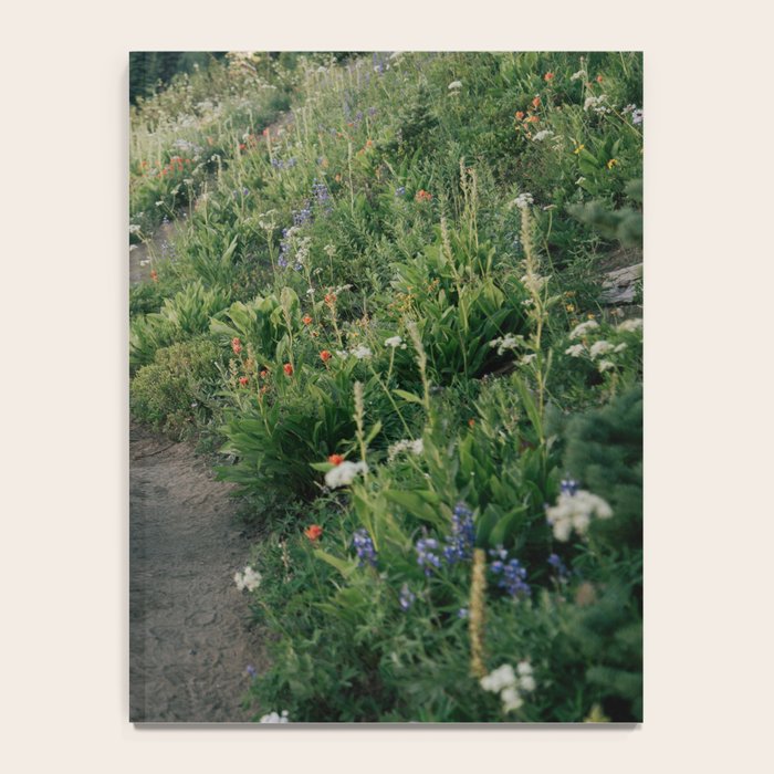 Wildflower Hike Notebook Gallery Image 4