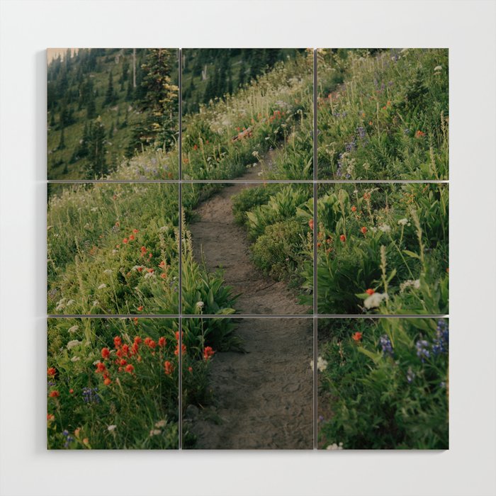 Wildflower Hike Wood Wall Art Gallery Image 1