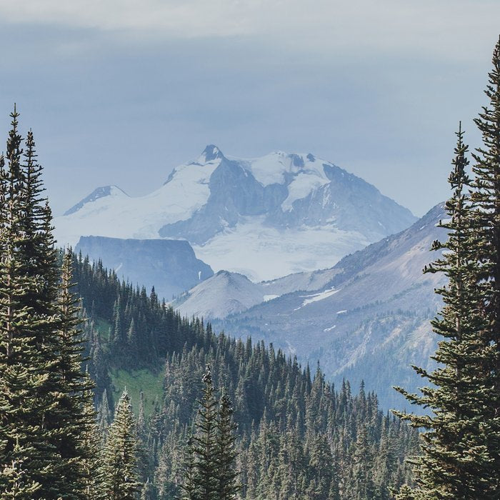 Garibaldi Provincial Park II Coffee Mug Gallery Image 2