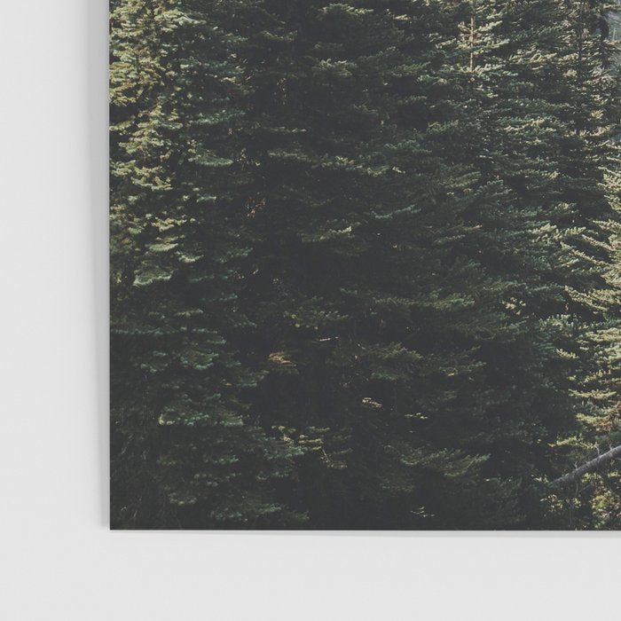 Garibaldi Provincial Park II Poster Gallery Image 3