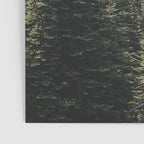 Garibaldi Provincial Park II Poster Gallery Image 3