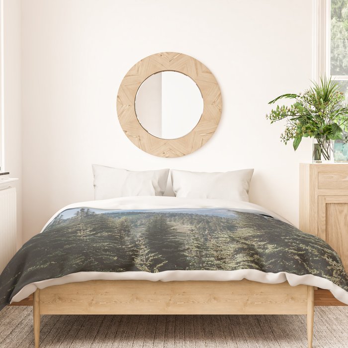 Garibaldi Provincial Park II Duvet Cover Gallery Image 3