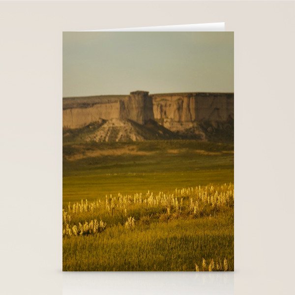 Wyoming Wildflowers Stationery Card Gallery Image 1